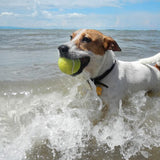 Bluetooth compact tracker for the freedom of pets