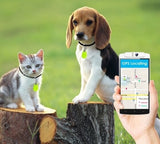 Bluetooth compact tracker for the freedom of pets