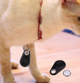 Bluetooth compact tracker for the freedom of pets