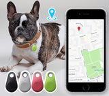 Bluetooth compact tracker for the freedom of pets