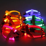 Your stunning pet's feel-royal LED harness for night safety