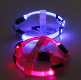 Your stunning pet's feel-royal LED harness for night safety