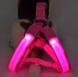 Your stunning pet's feel-royal LED harness for night safety