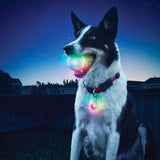 LED glowing pet ball toy for royal night playing