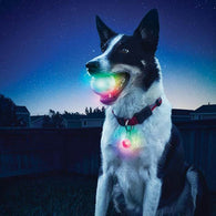 LED glowing pet ball toy for royal night playing