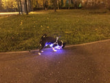 Your stunning pet's feel-royal LED harness for night safety