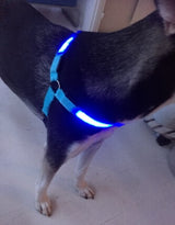 Your stunning pet's feel-royal LED harness for night safety