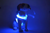 Your stunning pet's feel-royal LED harness for night safety