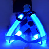 Your stunning pet's feel-royal LED harness for night safety