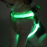 Your stunning pet's feel-royal LED harness for night safety