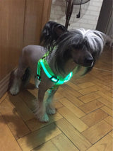 Your stunning pet's feel-royal LED harness for night safety