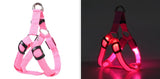 Your stunning pet's feel-royal LED harness for night safety