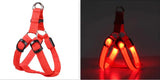 Your stunning pet's feel-royal LED harness for night safety