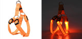 Your stunning pet's feel-royal LED harness for night safety