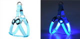 Your stunning pet's feel-royal LED harness for night safety