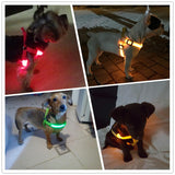 Your stunning pet's feel-royal LED harness for night safety