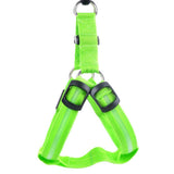 Your stunning pet's feel-royal LED harness for night safety