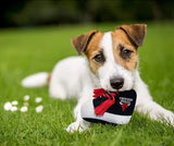 Dog and puppy cute NBA sneaker toy