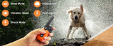 Wireless modern design IP67 waterproof electronic pet training collar