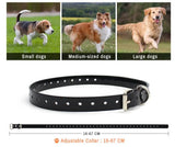 Wireless modern design IP67 waterproof electronic pet training collar