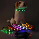 Glowing stripped pattern LED pet collar for night safety