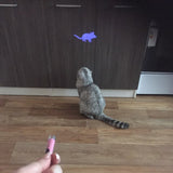 LED laser pet toy with mouse pattern