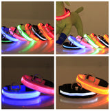 Nylon LED glowing pet collar for night safety