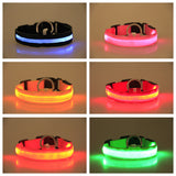 Nylon LED glowing pet collar for night safety