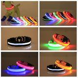 Nylon LED glowing pet collar for night safety