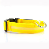 Nylon LED glowing pet collar for night safety