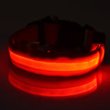 Nylon LED glowing pet collar for night safety