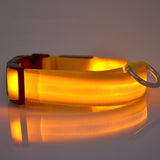 Nylon LED glowing pet collar for night safety