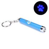 Creative and funny LED laser pet toy with different patterns