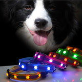 Glowing stripped pattern LED pet collar for night safety