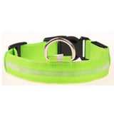 Nylon LED glowing pet collar for night safety