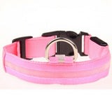 Nylon LED glowing pet collar for night safety