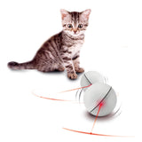 LED laser pet toy