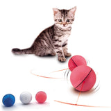 LED laser pet toy