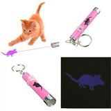 Creative and funny LED laser pet toy with different patterns