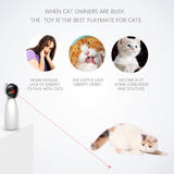 LED laser pet toy with multi-angle adjustment